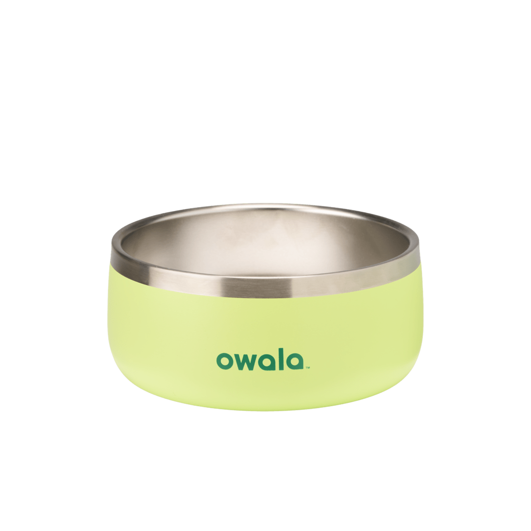 Pet Bowl [MTJ9]