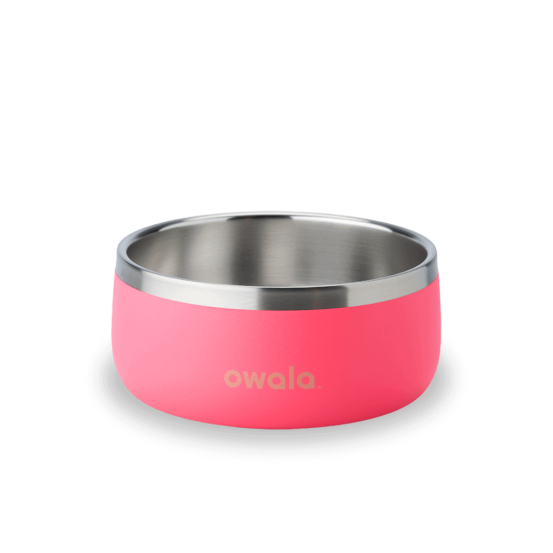 Pet Bowl [MTJ9]