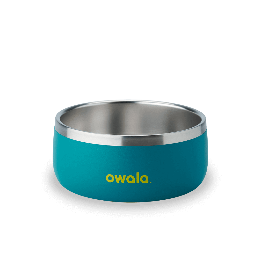 Pet Bowl [MTJ9]